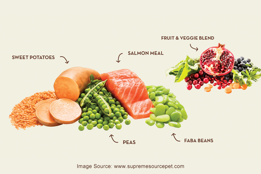 A Guide to Choosing the Perfect Salmon Flavored Dog Food for Your Puppy