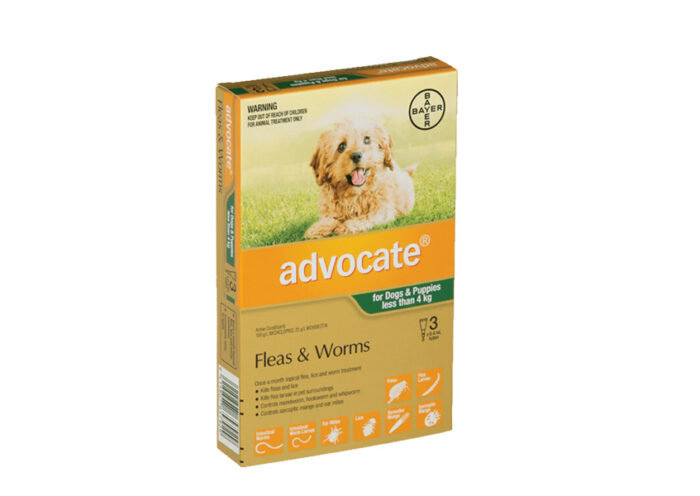 Top 10 Best Practices for Administering Advocate for Dogs