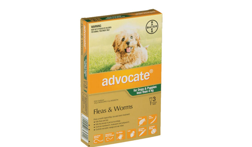 Top 10 Best Practices for Administering Advocate for Dogs