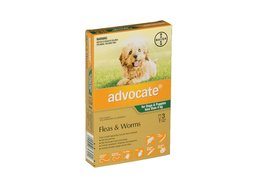 Top 10 Best Practices for Administering Advocate for Dogs