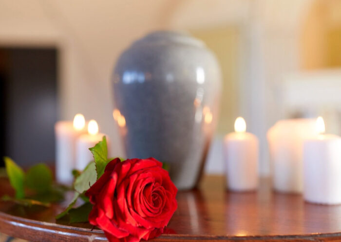 Pet Funeral Services in Singapore Dos and Donts for a Meaningful Farewell