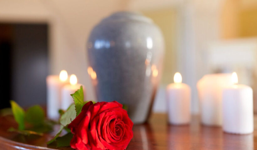 Pet Funeral Services in Singapore Dos and Donts for a Meaningful Farewell