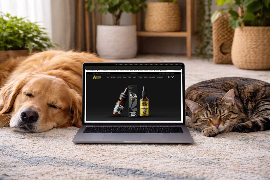 A Guide to Pet CBD for UK Dog and Cat Owners