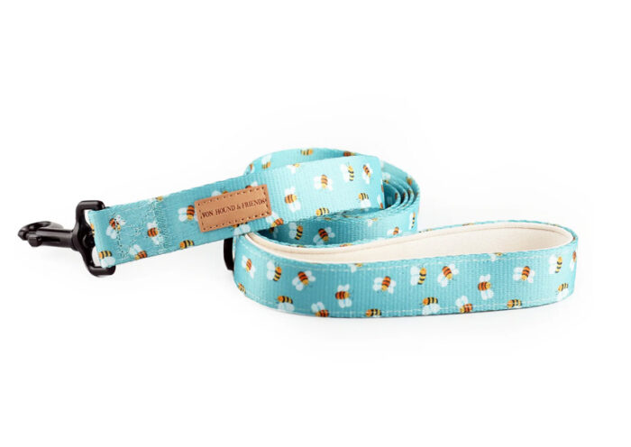 Do Dogs Really Need a Carrier for Travel