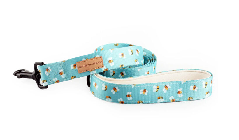 Do Dogs Really Need a Carrier for Travel