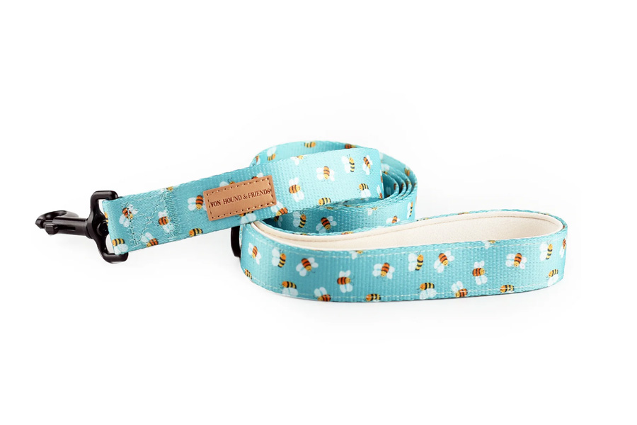 Do Dogs Really Need a Carrier for Travel