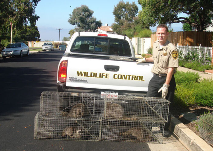 The Professional Guard How to Choose the Best Animal Control Company