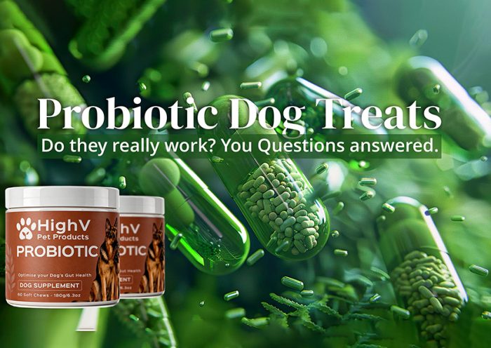 Reading the Label What Probiotic Dog Chews Can and Cannot Say Under UK Rules