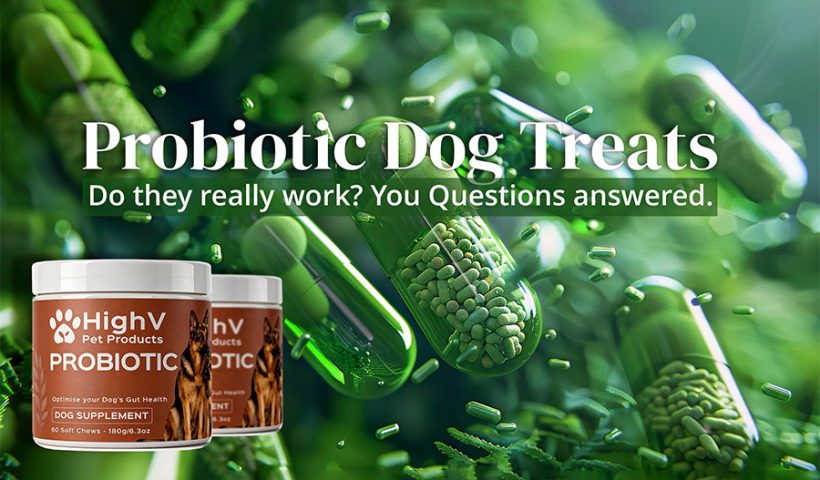 Reading the Label What Probiotic Dog Chews Can and Cannot Say Under UK Rules