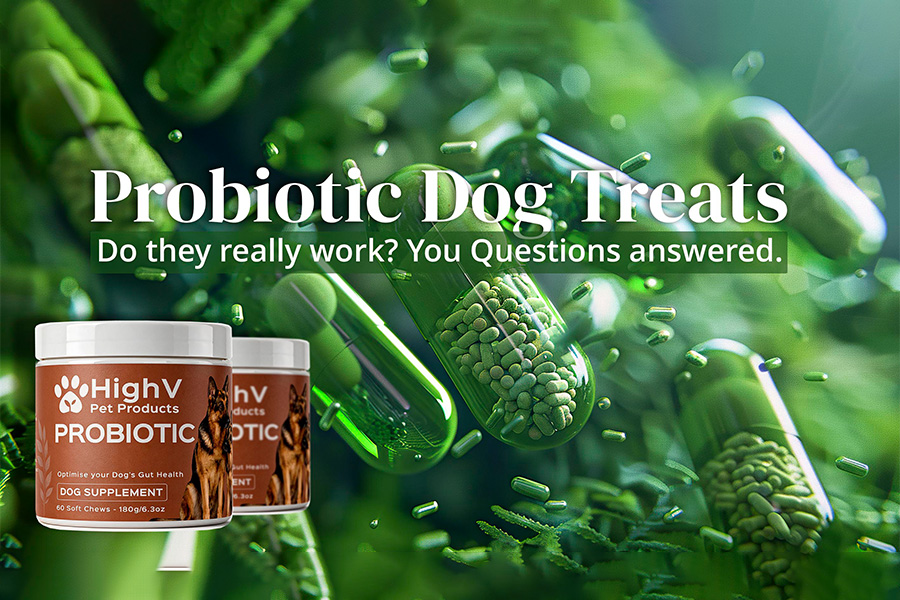 Reading the Label What Probiotic Dog Chews Can and Cannot Say Under UK Rules