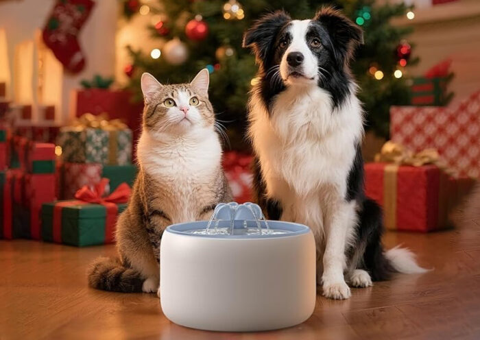 Top 10 Best Cat Water Fountains in 2026