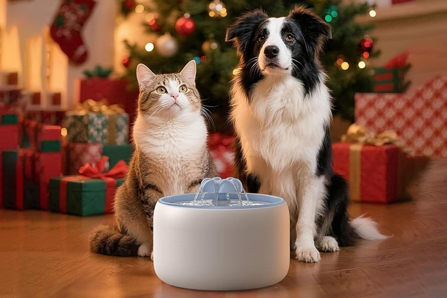 Top 10 Best Cat Water Fountains in 2026